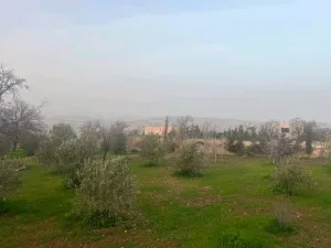 العالوك 6
