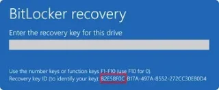 Data Recovery and Laptop Repair 4