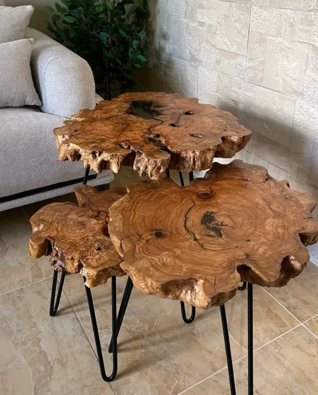 Root Wood 15