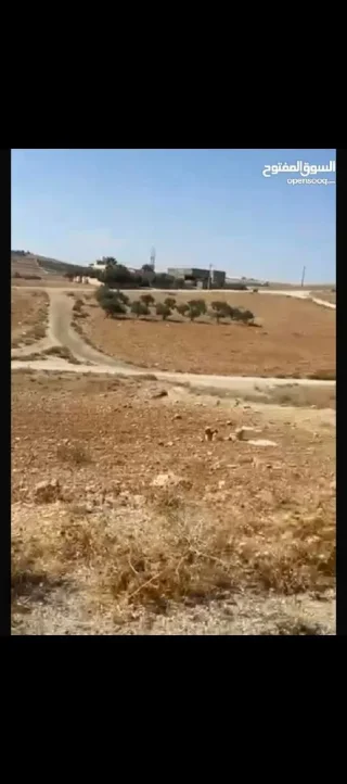 ارض بالمفرق مساحة ٦٤١ 6