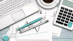 أستاذ محاسبة و اقتصاد حاصل على الامتياز لطلاب الجامعات 10