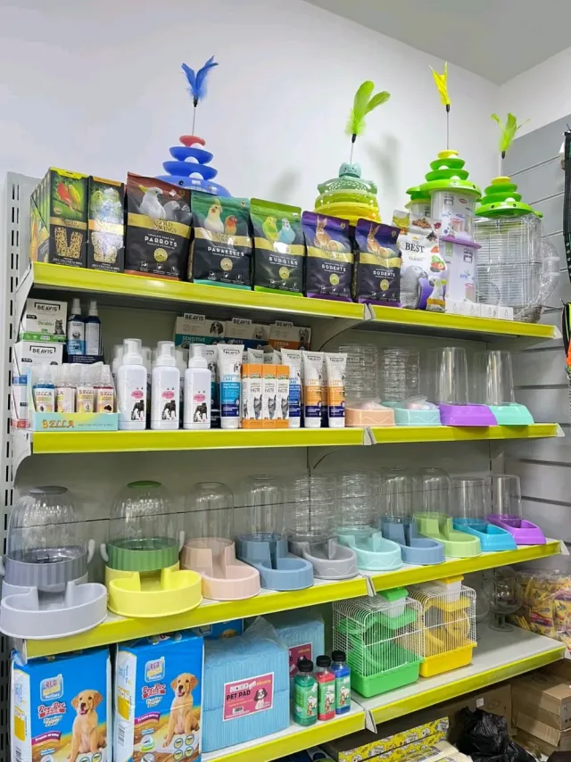 dargon Pet shop 15