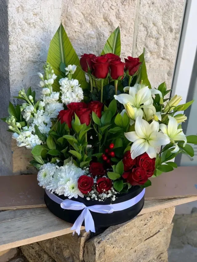 ازهار الباشا 10
