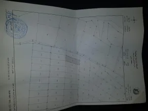 ٣٢ دونم ونص للبيع في الغور 3