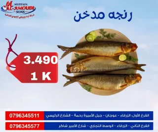 اسماك ومأكولات بحريه مجمد 15