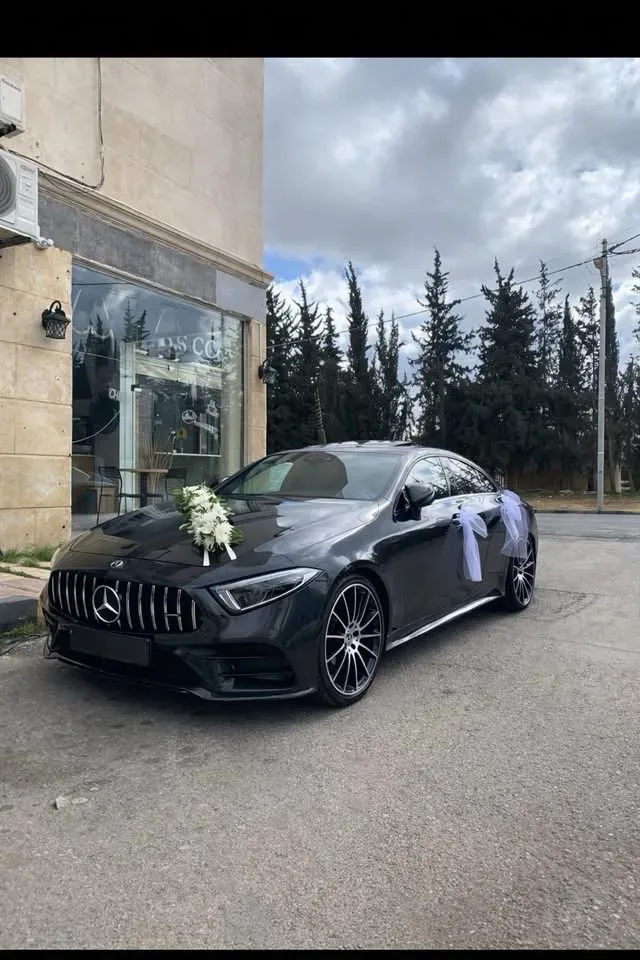 Ayla_car_rental 15
