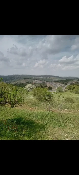 دونمين ارض للبيع في عجلون 2