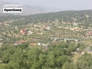 مزرعة مميزة منطقة شاليهات ومصايف للاستثمار 10