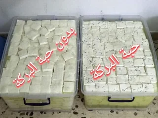 جبنه غنم بلديه 100% 3