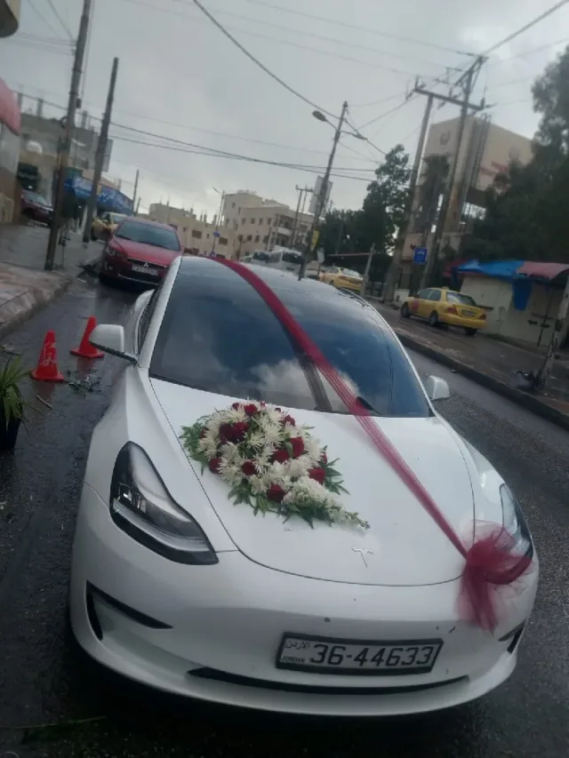 أزهار إسطنبول  12