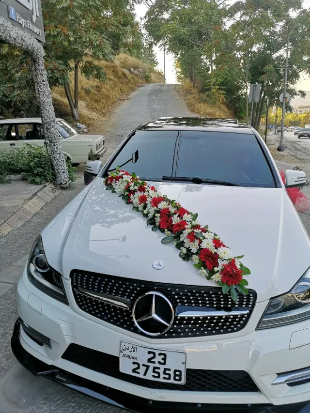 haya flowers / ازهار هيا 3