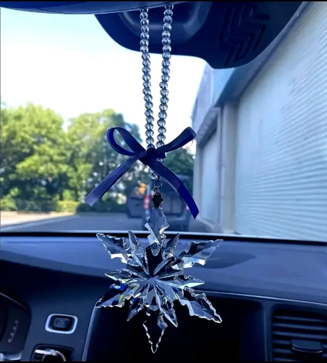 The_elegant_car_suplement 10