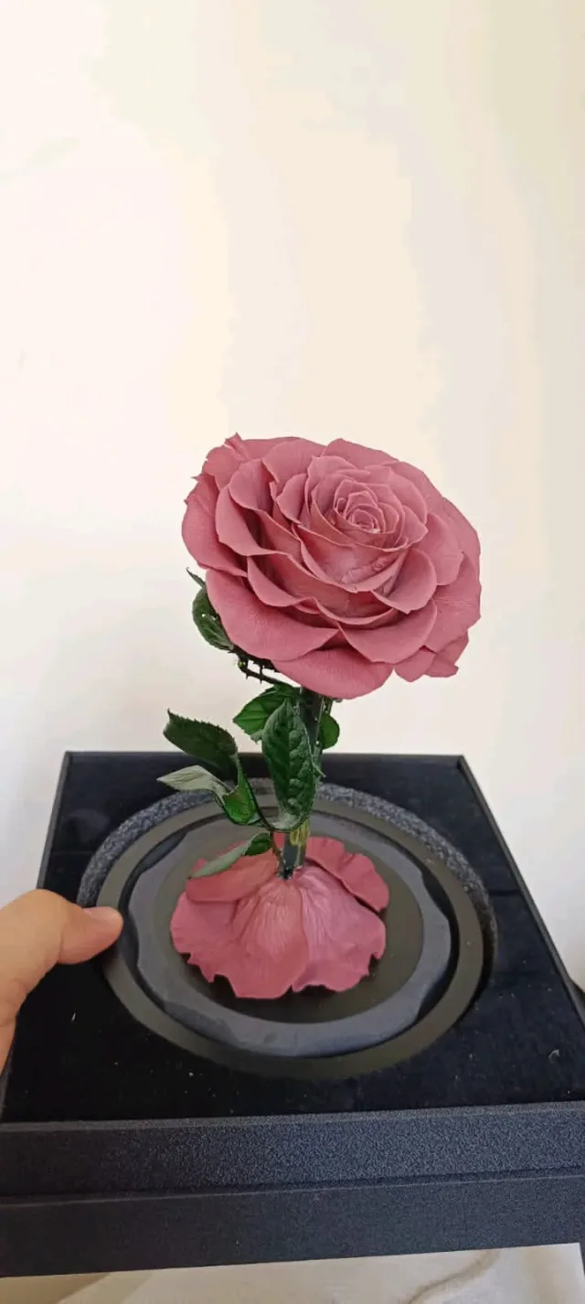 Forever rose Jo 13