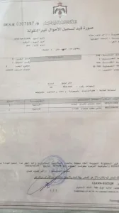 مزرعة زيتون للبيع 2