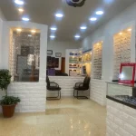 بصريات الحجاح
