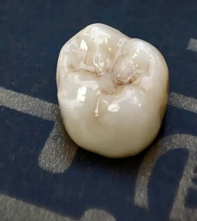 TAJ Dental Lab 7