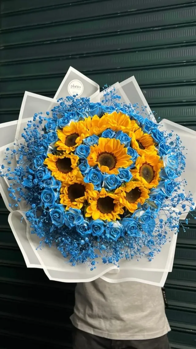 Planto Flowers - ازهار بلانتو