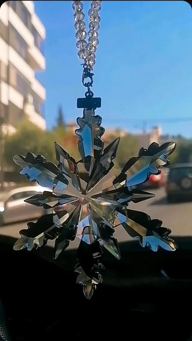 The_elegant_car_suplement 2