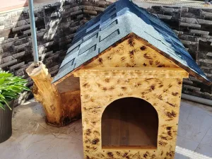 wooden house for dogs different types and sizes isolated from water and warm 5