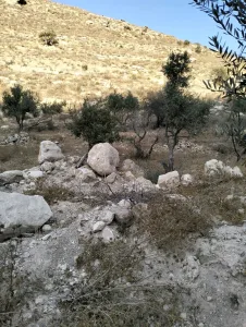 ارض زراعيه للبيع 5