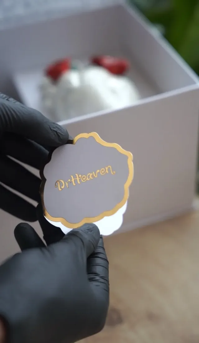 Dr Heaven