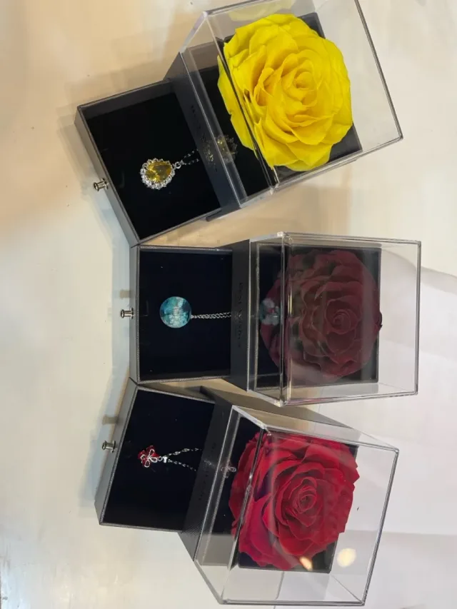 3bood_basha 5