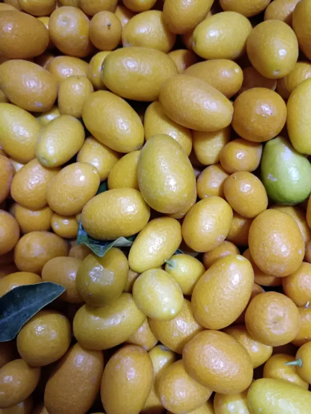 النشامى للخضار والفواكة 11