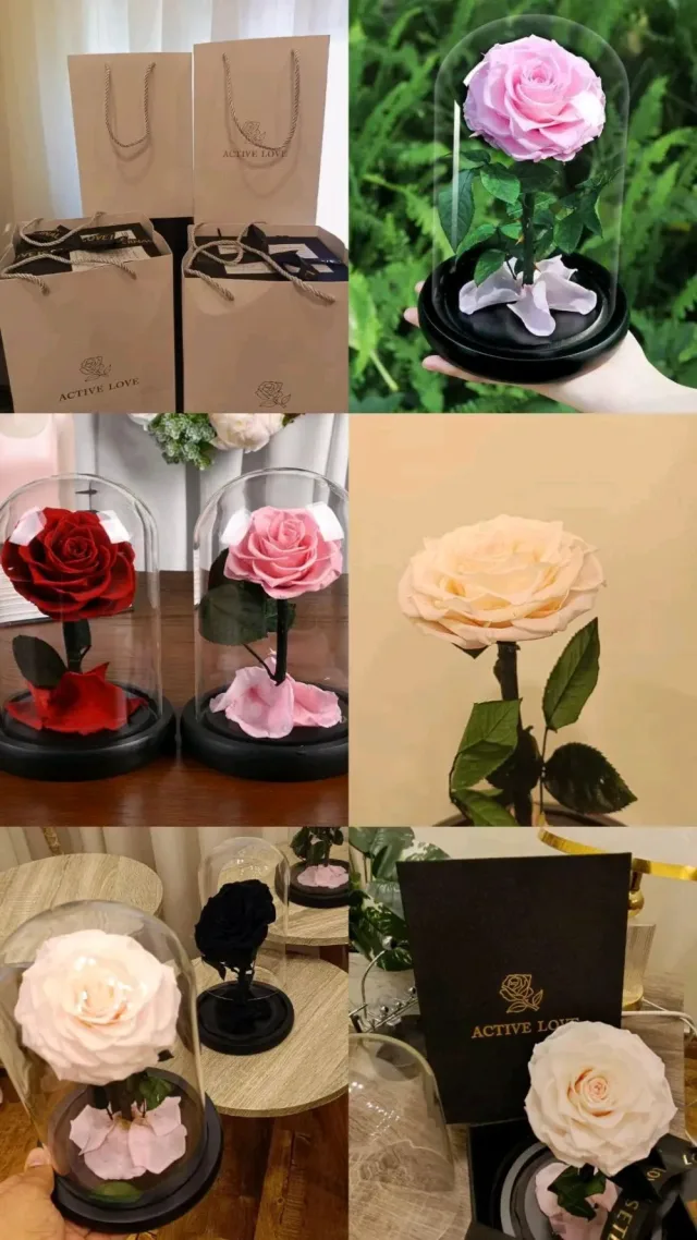 Forever rose Jo 4