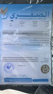 هونداي ايونك ٢٠١٧