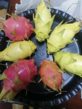 2C Dragon 5