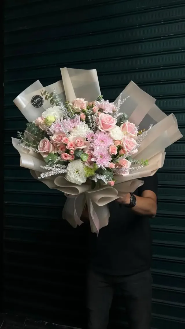 Planto Flowers - ازهار بلانتو