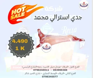 مجمدات لحوم دواجن خضار مجمد جميع اصناف المأكولات البحرية 9