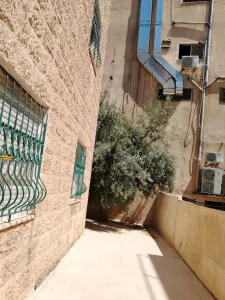 شقة أرضية 4