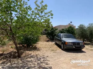 بناء تجاري و  سكني 6
