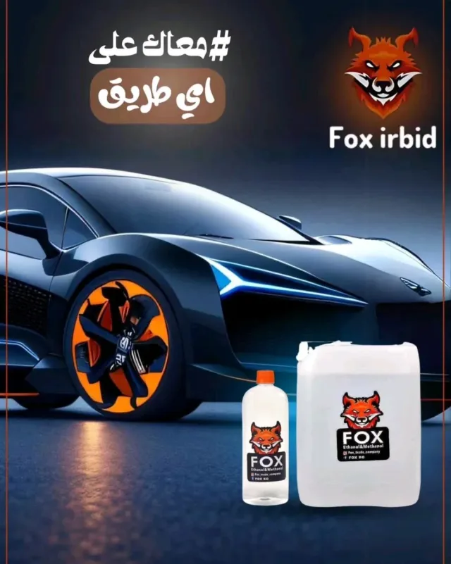 Fox 🦊 Irbid 8