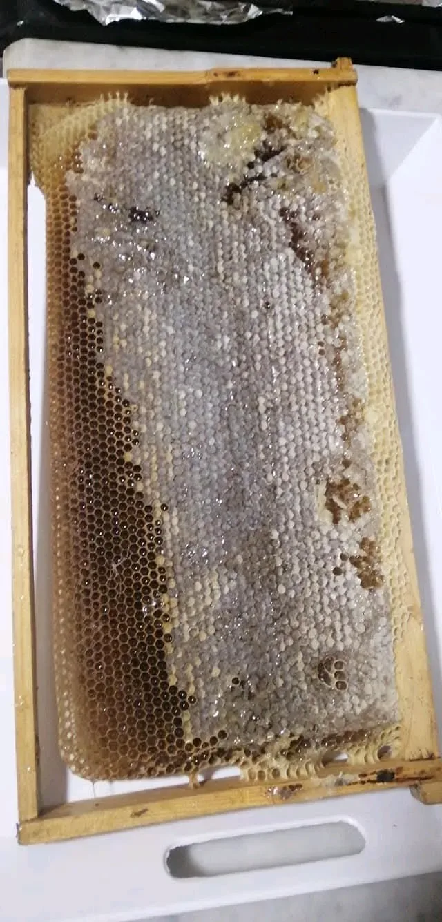 عسل البستنجي 3