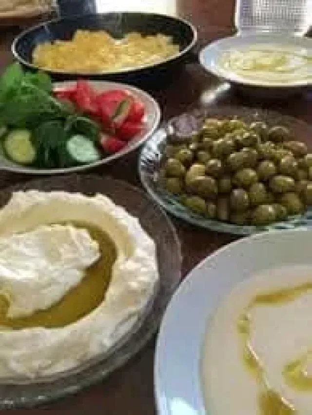 ألبان الفاروق 3