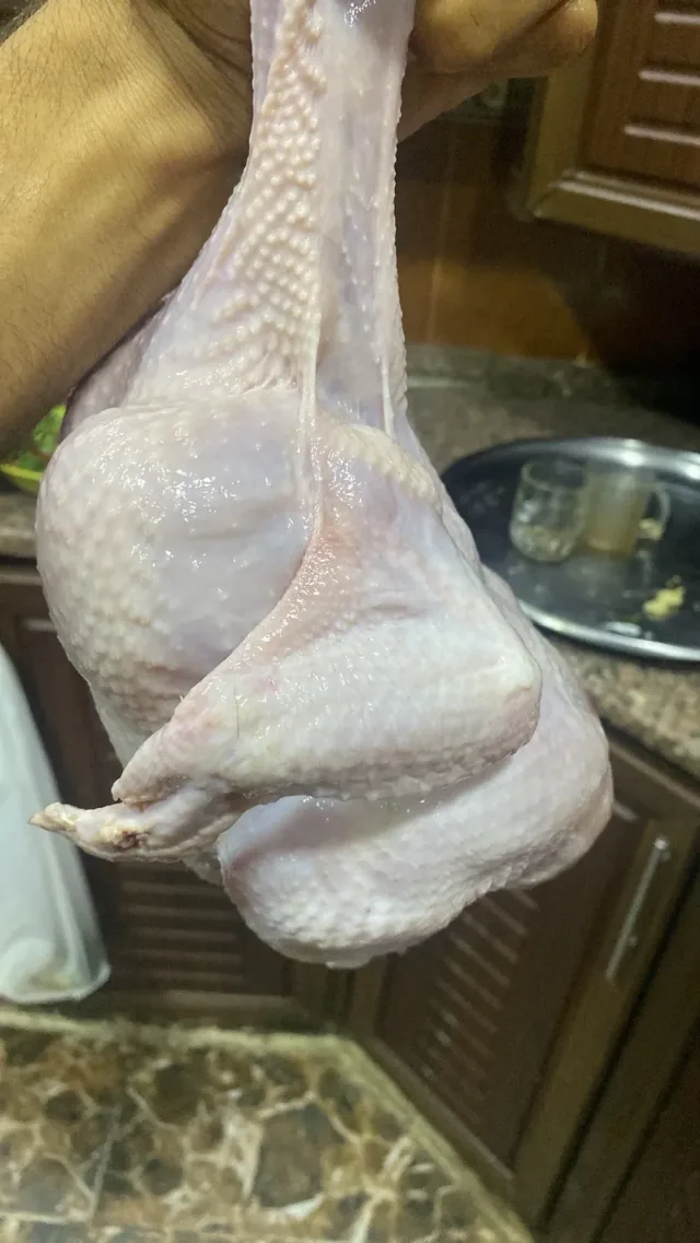 دجاج ماريا (دجاج بيور) صحي نباتي بدون اضافات مركزات الاعلاف بدون ادوية وهرمونات واي مواد بيطرية 3
