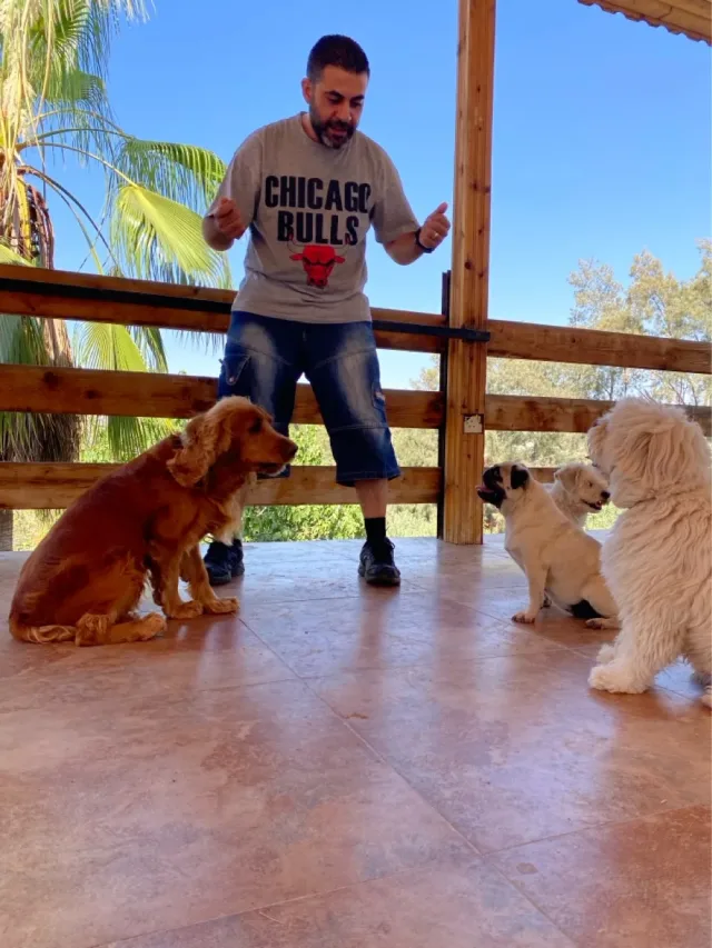 joseph almasri dog trainer 5