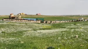 مزرعة للبيع طريق المطار 2