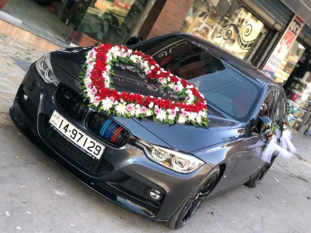 أزهار رويال 14