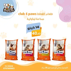 اكل قطط 2
