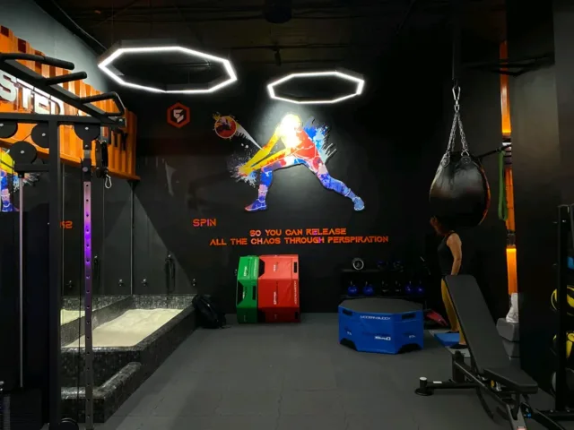 elite lab gym 11