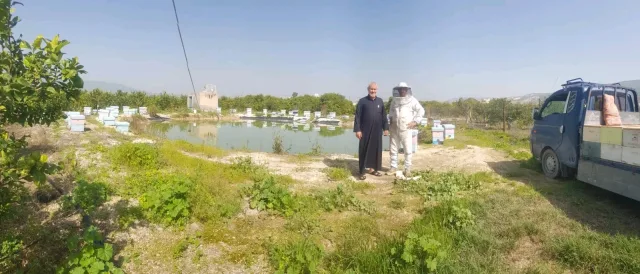 مناحل وعسل نبع الشفاء 6