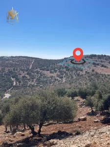 ارض باطلالة بانورامية على قلعة وجبال عجلون 8