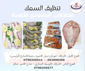 مجمدات لحوم دواجن خضار مجمد جميع اصناف المأكولات البحرية 13