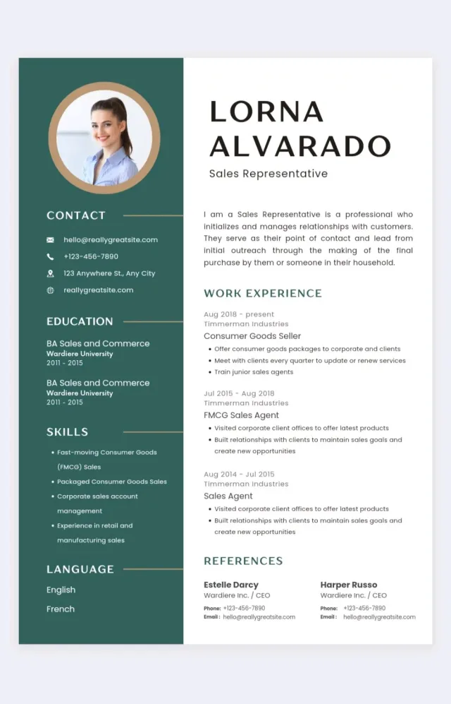 KING'S CV 3