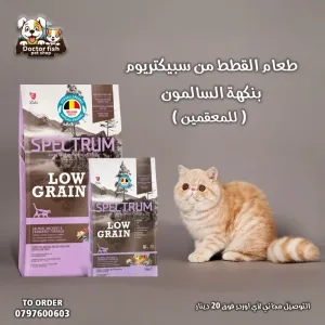 اكل قطط 15