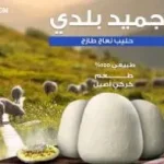 زاد وزواده