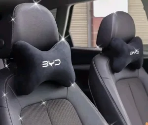 اكسسوارات فخمة خاصة بسيارة BYD 5